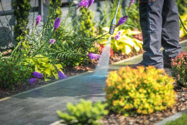 Best Gutter Cleaning and Brightening in Central Islip, NY